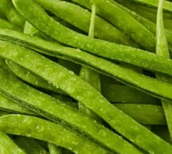 Cluster beans (Guvar )