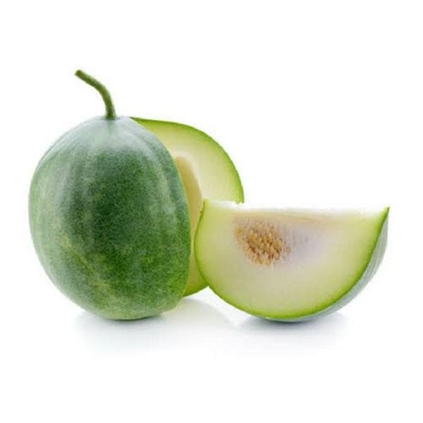 Ash Gourd