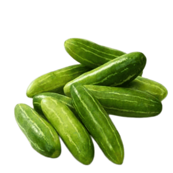 Ivy Gourd / Tindoori (kovakkai)