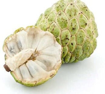 Custard Apple