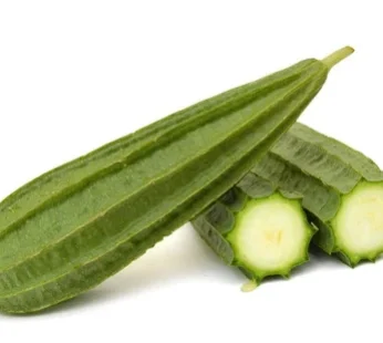 Ridge Gourd / Turai Ghiya