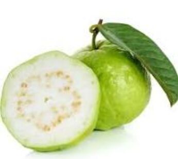 Guave / Guava