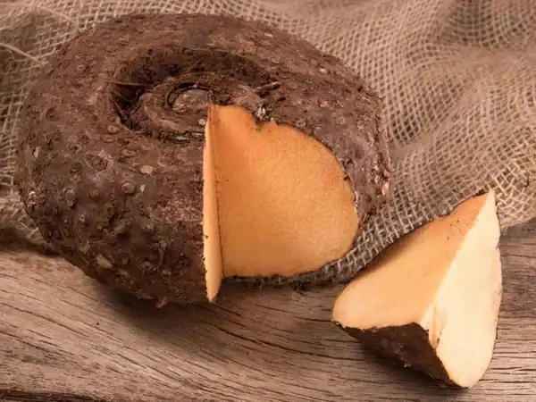 Elephant Foot / Suran / Yam