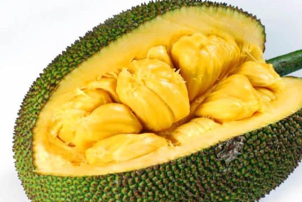 Fresh Jackfruit