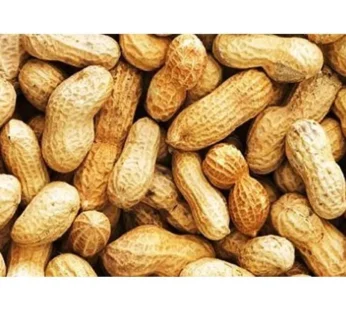 Fresh Peanut