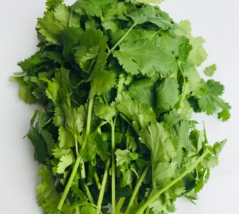 Coriander leaves Bunch 1 Stuk
