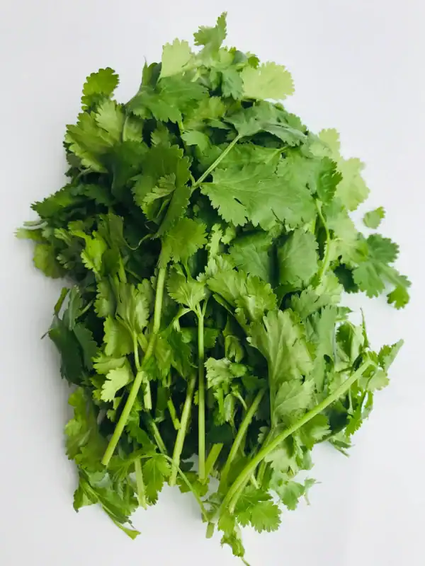Coriander leaves Bunch 1 Stuk