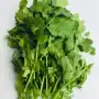 Coriander leaves Bunch 1 Stuk