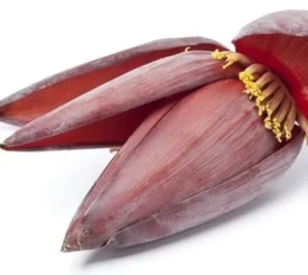 Banana Flower