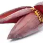 Banana Flower