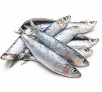 Sardinella 1kg