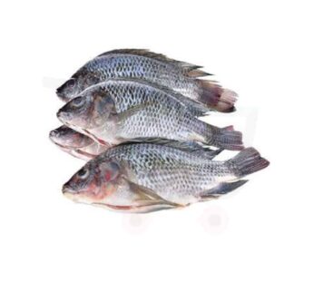 Tilapia 1kg