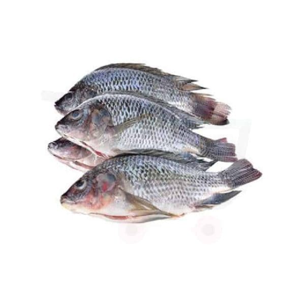 Tilapia 1kg