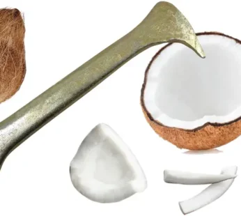 Coconut Breaker with Coconut Peeler Slicer Opener Rod