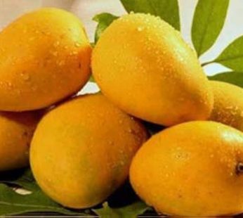 Fresh Himayat/ Hima passand  Mangoes 3.3KG