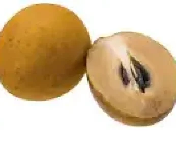 Chickoo/ Sapodilla/Sapota