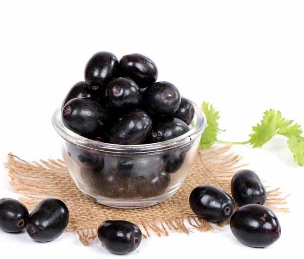Jamun /Java Plum