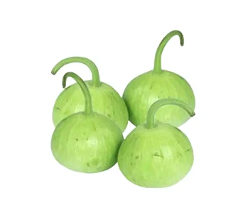 Pakistani Pumpkin Round (Gol Kadu)