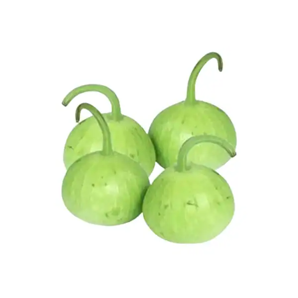 Pakistani Pumpkin Round (Gol Kadu)