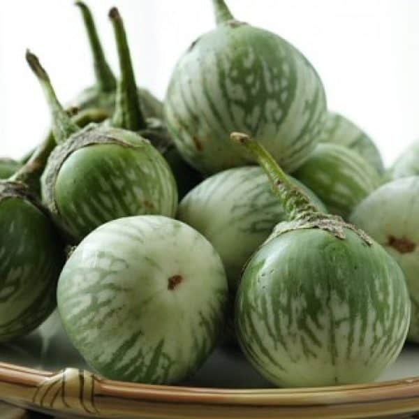 Green Brinjal | Eggplant | Baingan | Vangi