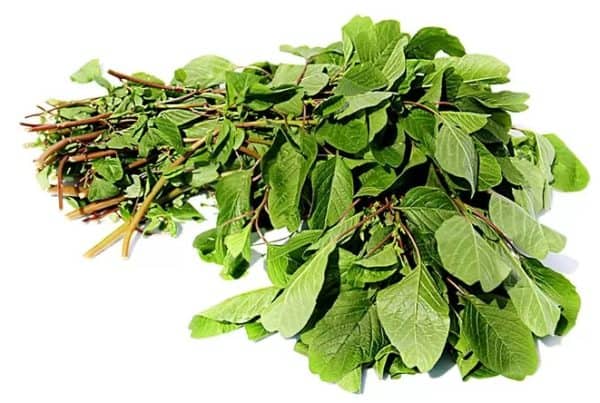 Amaranth leaves 500g
