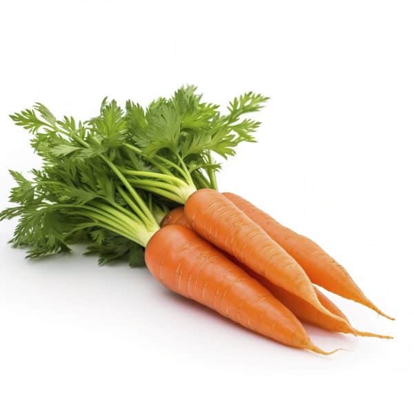 Carrot
