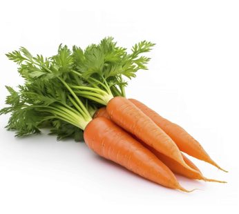 Carrot