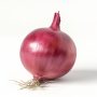 Red onion 10kg