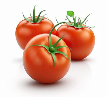 Tomato