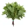 Gongura leaves 1 bunch