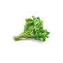 Vallarai leaves 1 bunch