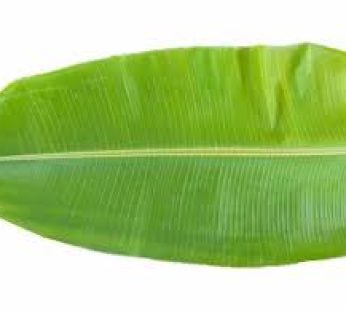 Banana Leaf 1 stuk
