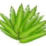 Mango Leaf 100g