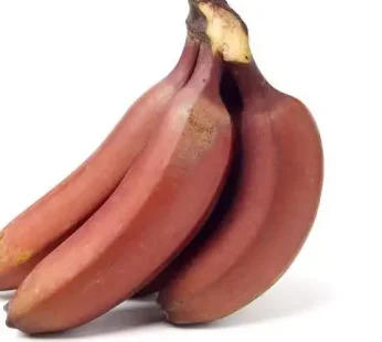 Red Banana 1pc