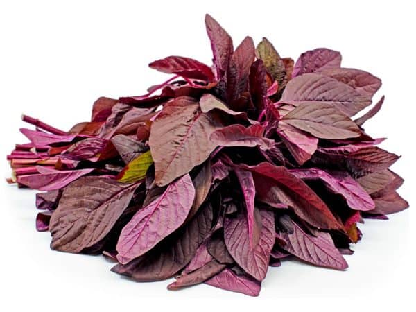 Red Amaranth leaves  1 bunch