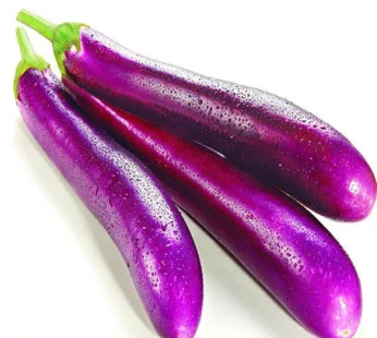 long Brinjal