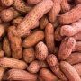 [POS_ONLY]Peanut_