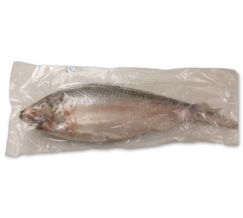 Hilsa fish 1kg