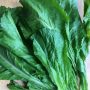 Sarson ka saag ( mustard leaves )
